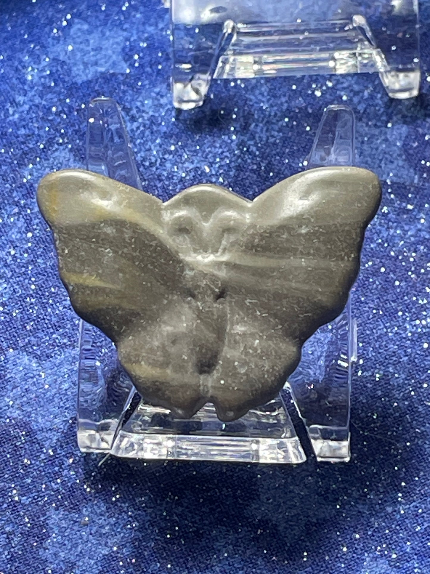 Zebra Jasper Butterfly