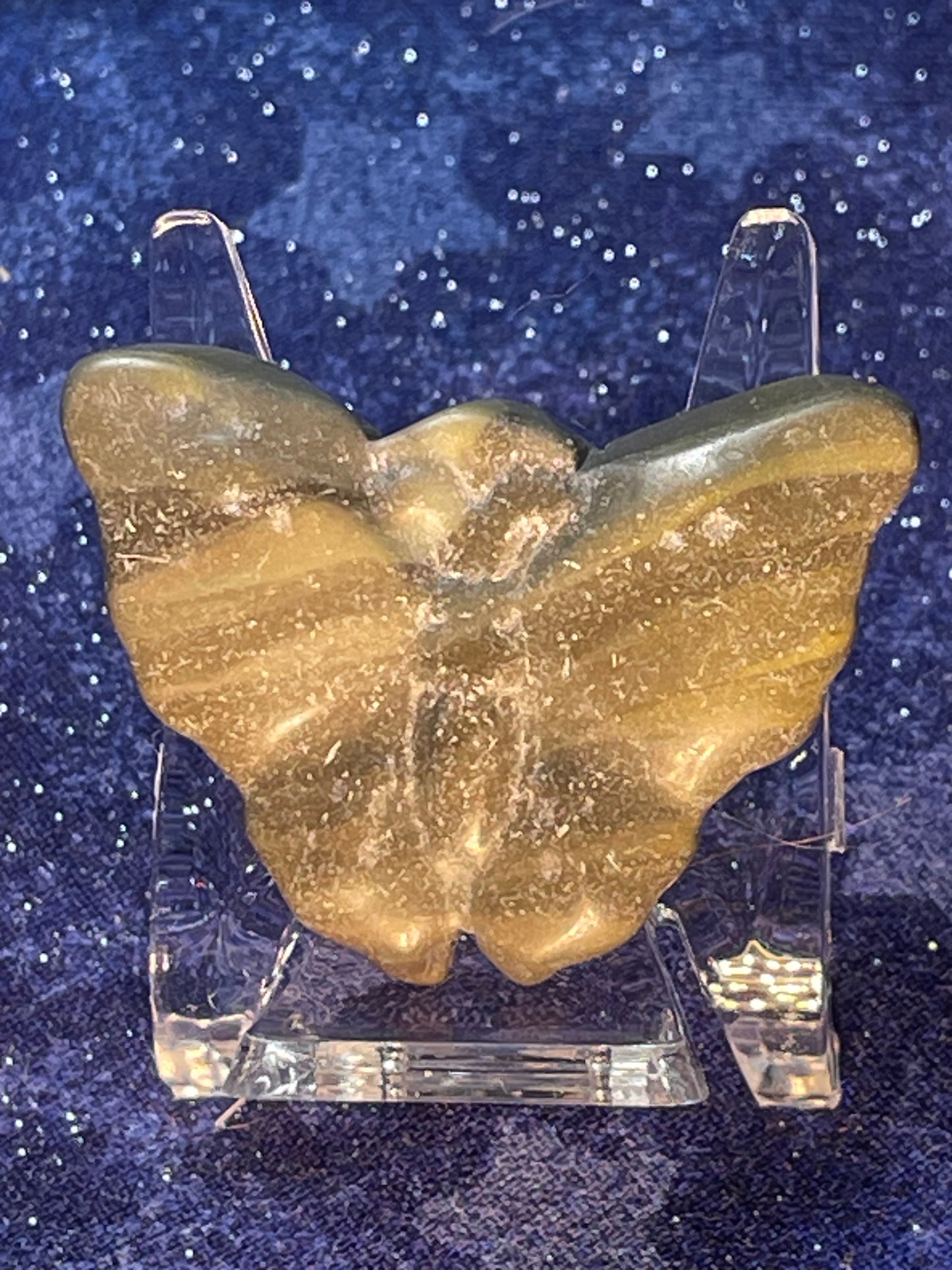 Zebra Jasper Butterfly