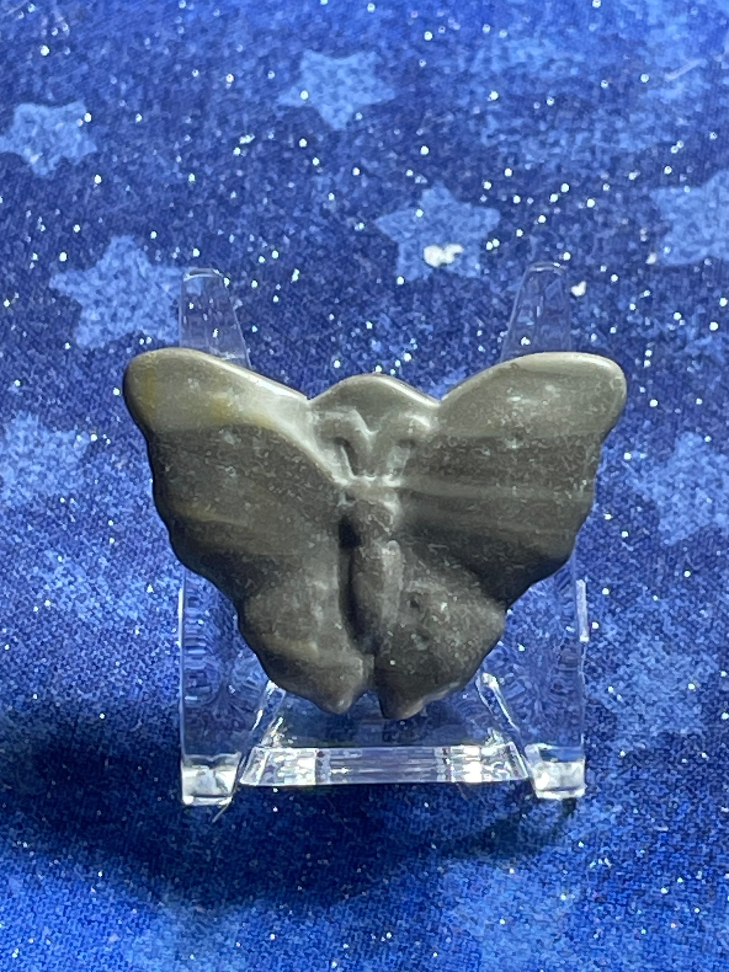 Zebra Jasper Butterfly