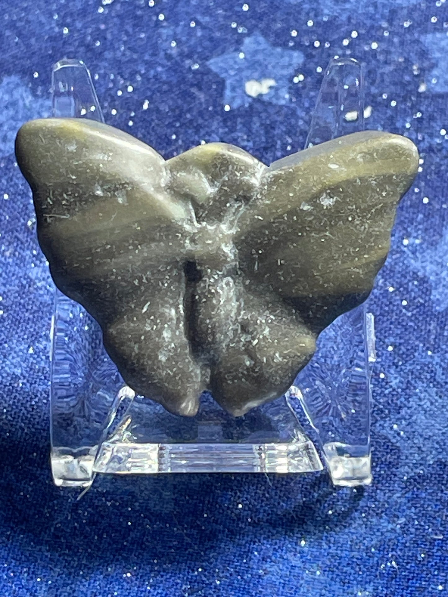 Zebra Jasper Butterfly