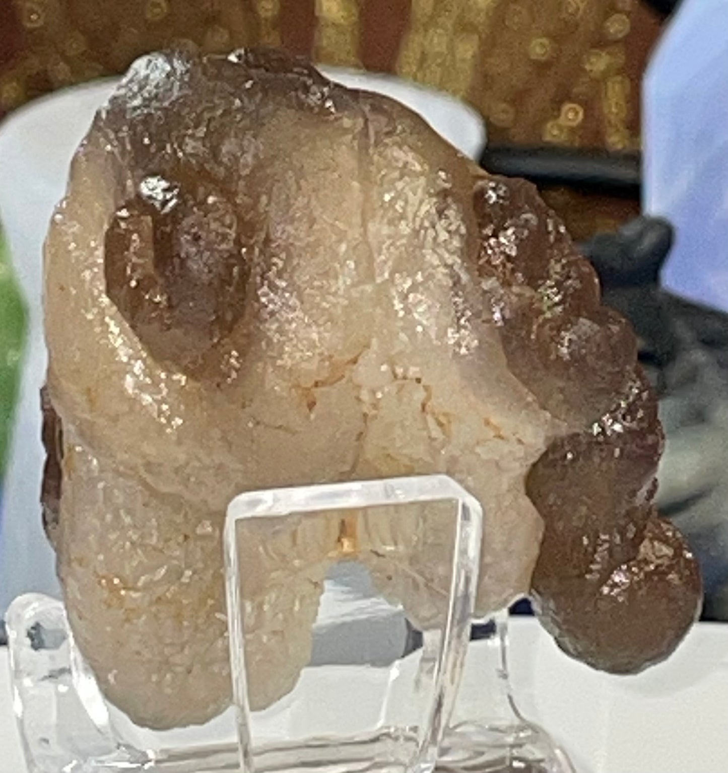 Moroccan Truffle Chalcedony "Witch's Wart" Unique Crystal ~1~
