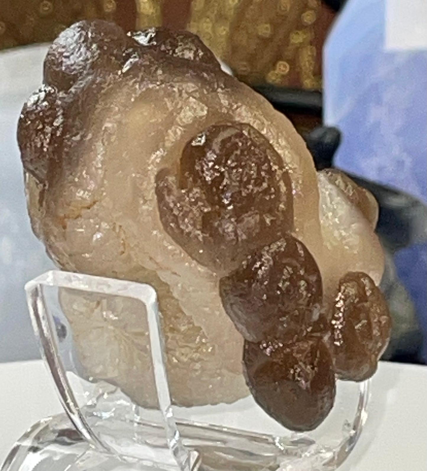 Moroccan Truffle Chalcedony "Witch's Wart" Unique Crystal ~1~