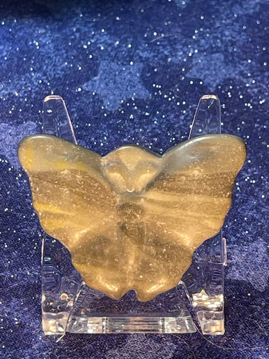 Zebra Jasper Butterfly