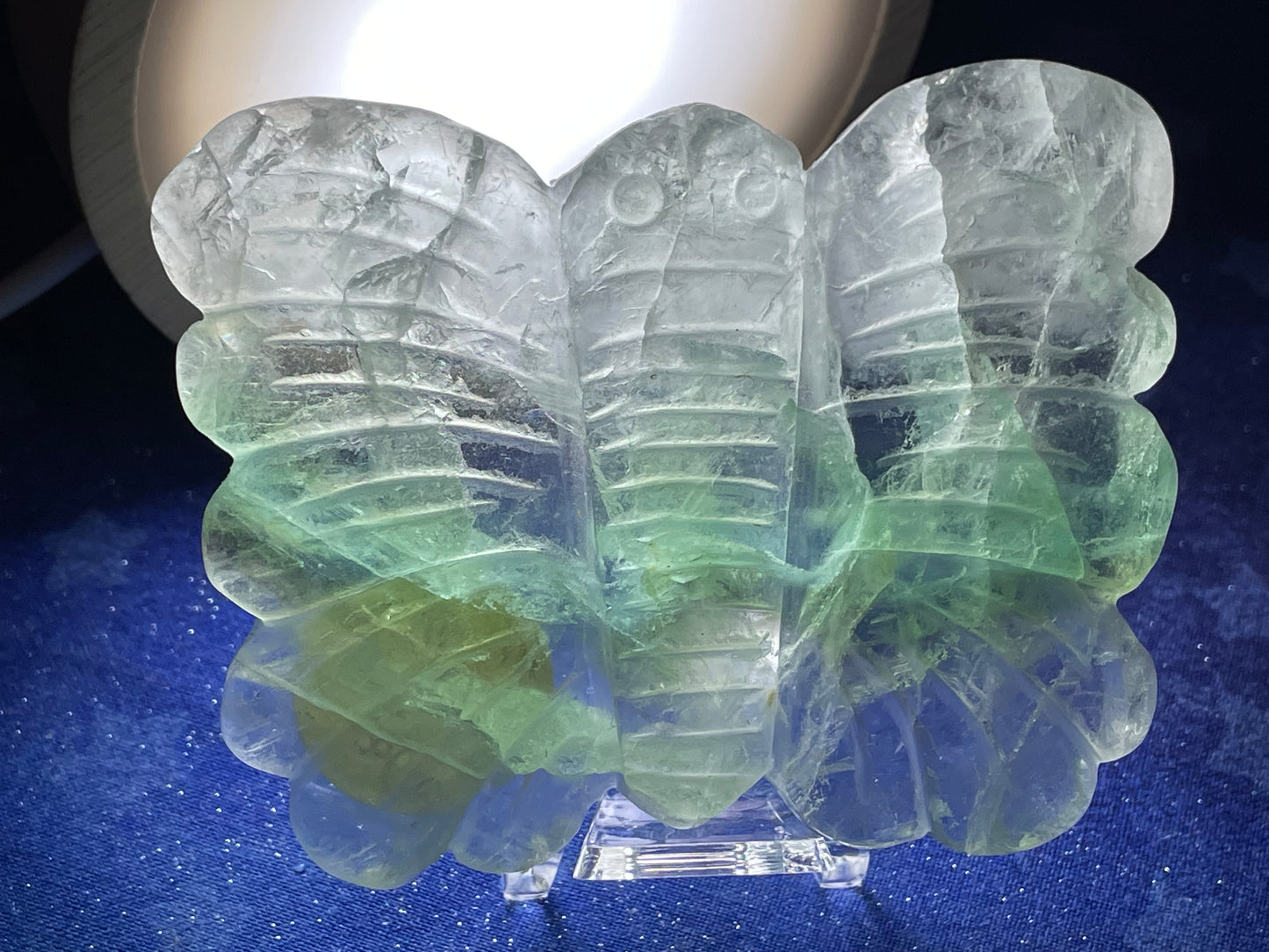 Fluorite Butterfly
