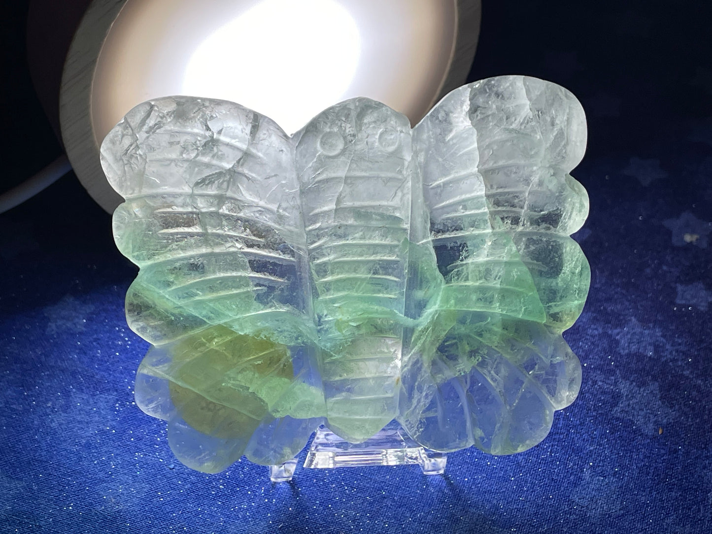 Fluorite Butterfly