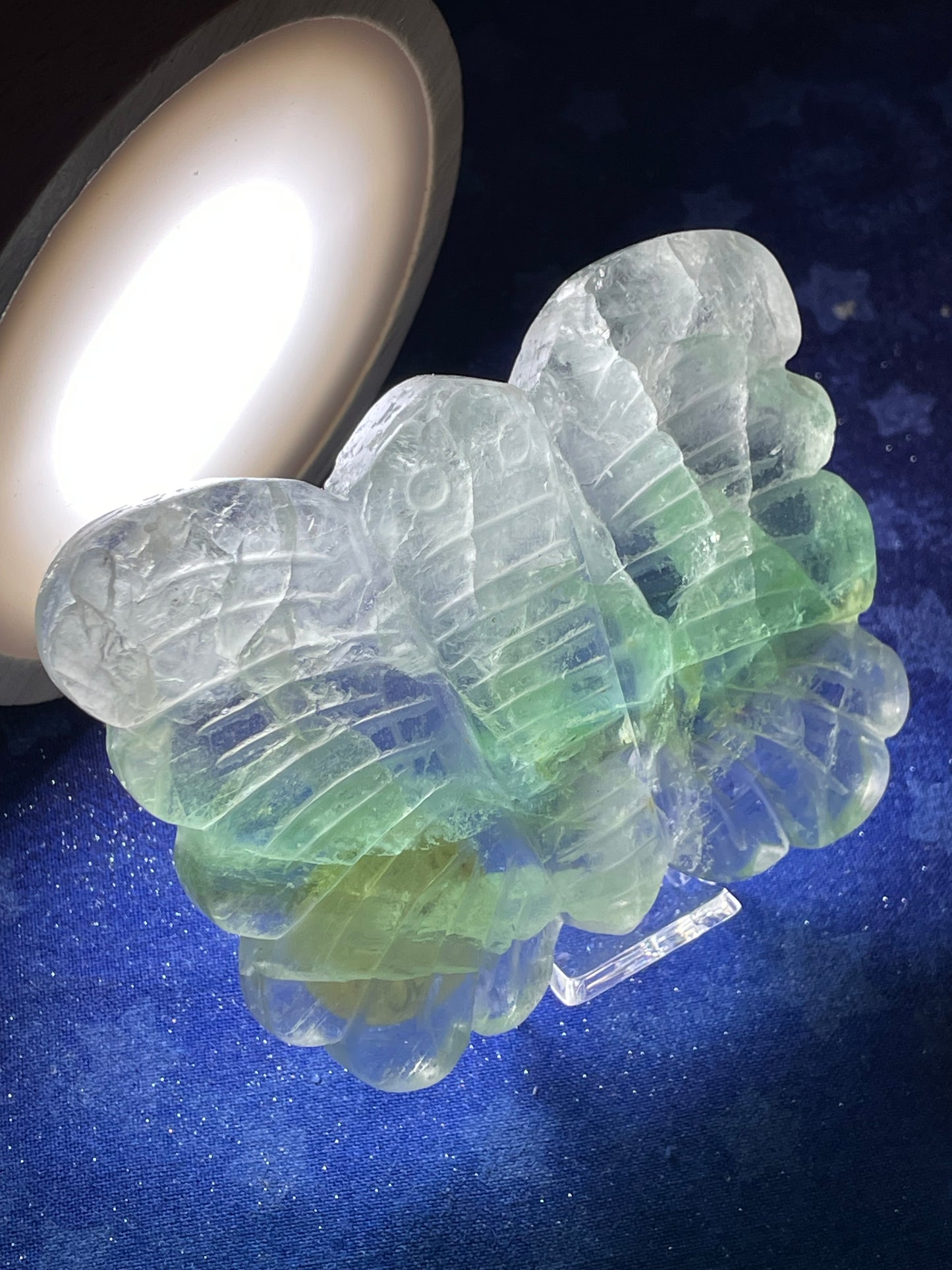 Fluorite Butterfly