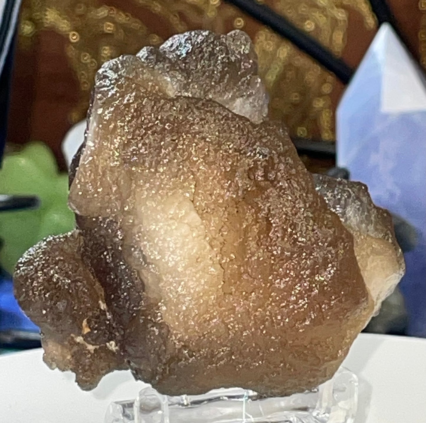 Moroccan Truffle Chalcedony "Witch's Wart" Unique Crystal ~2~