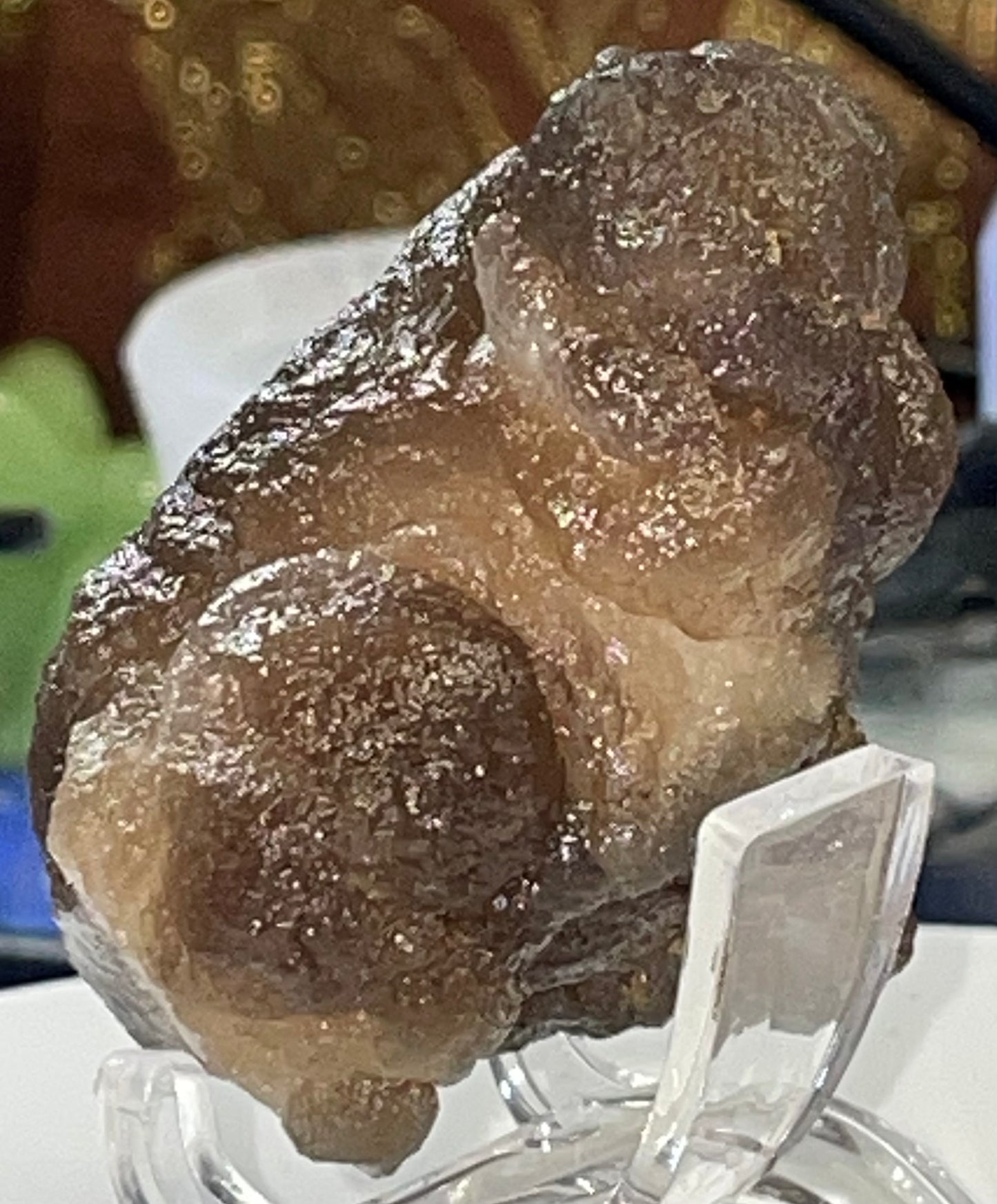 Moroccan Truffle Chalcedony "Witch's Wart" Unique Crystal ~2~