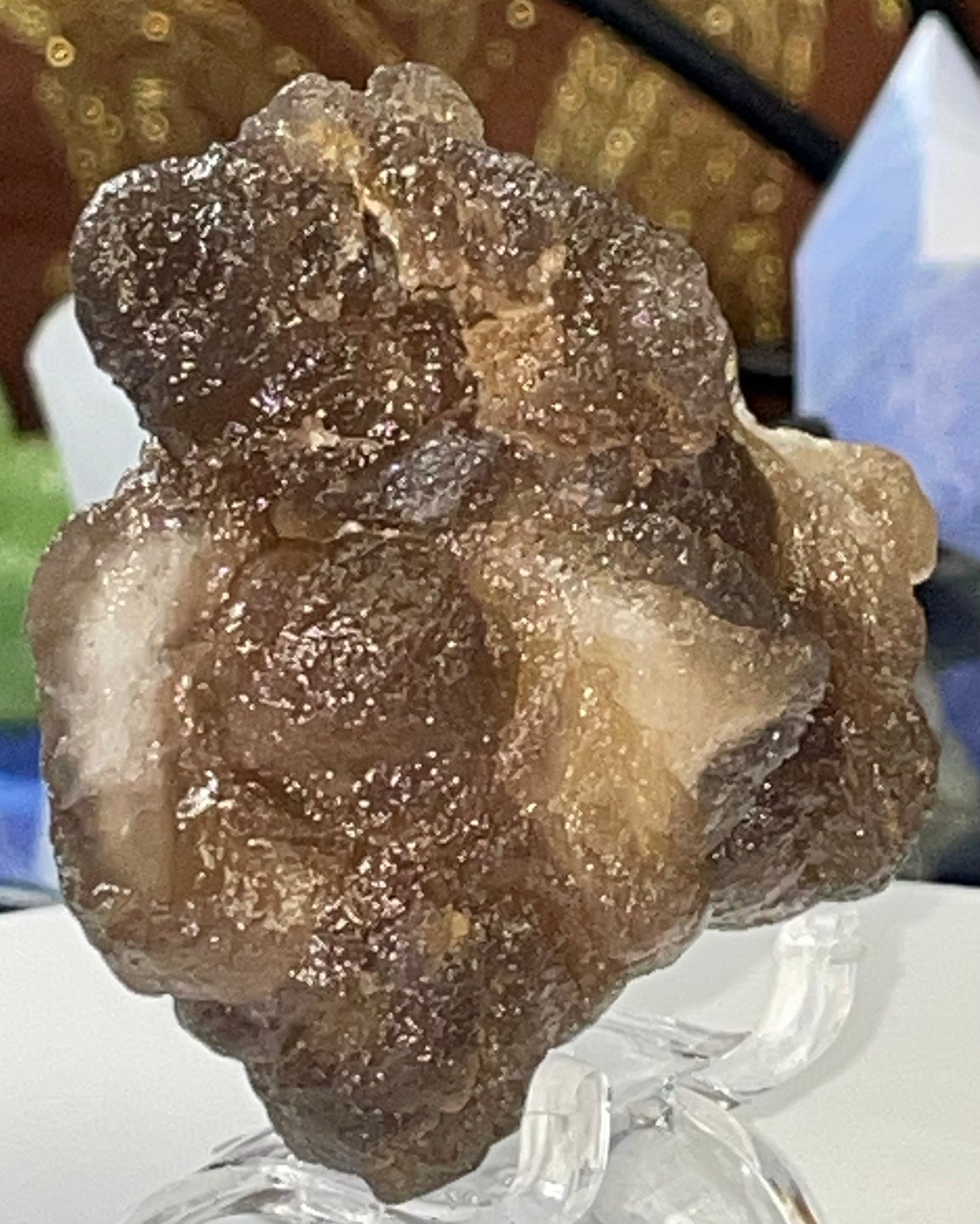 Moroccan Truffle Chalcedony "Witch's Wart" Unique Crystal ~2~