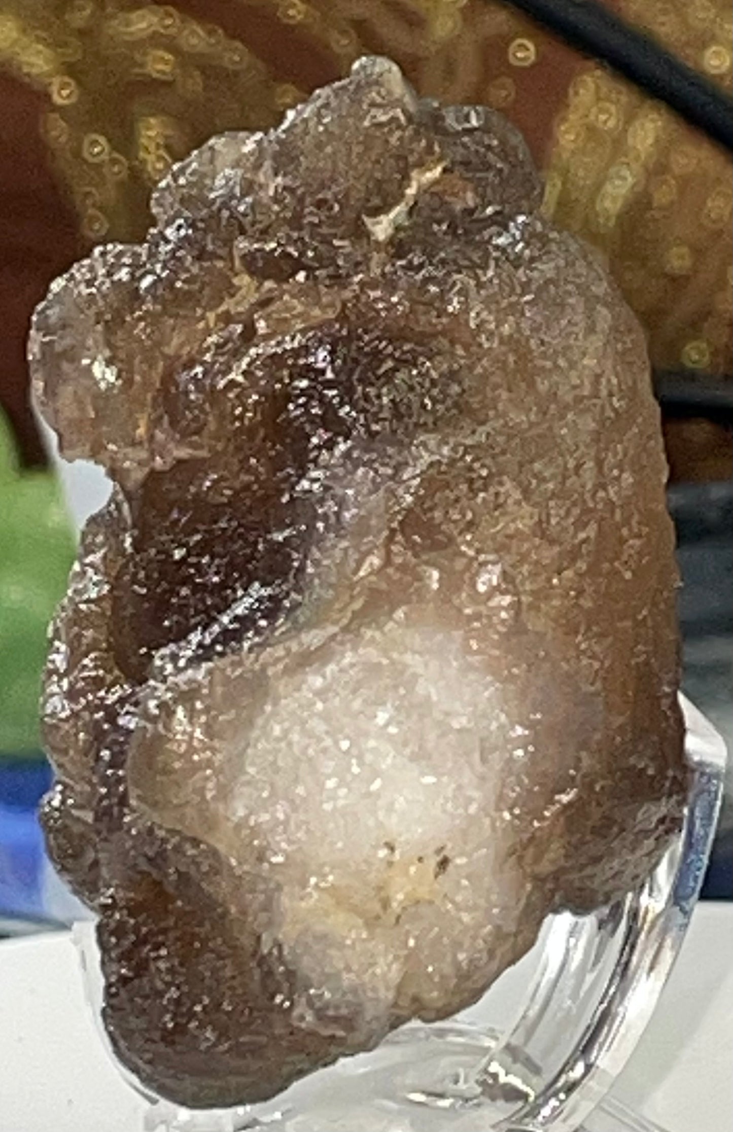 Moroccan Truffle Chalcedony "Witch's Wart" Unique Crystal ~2~