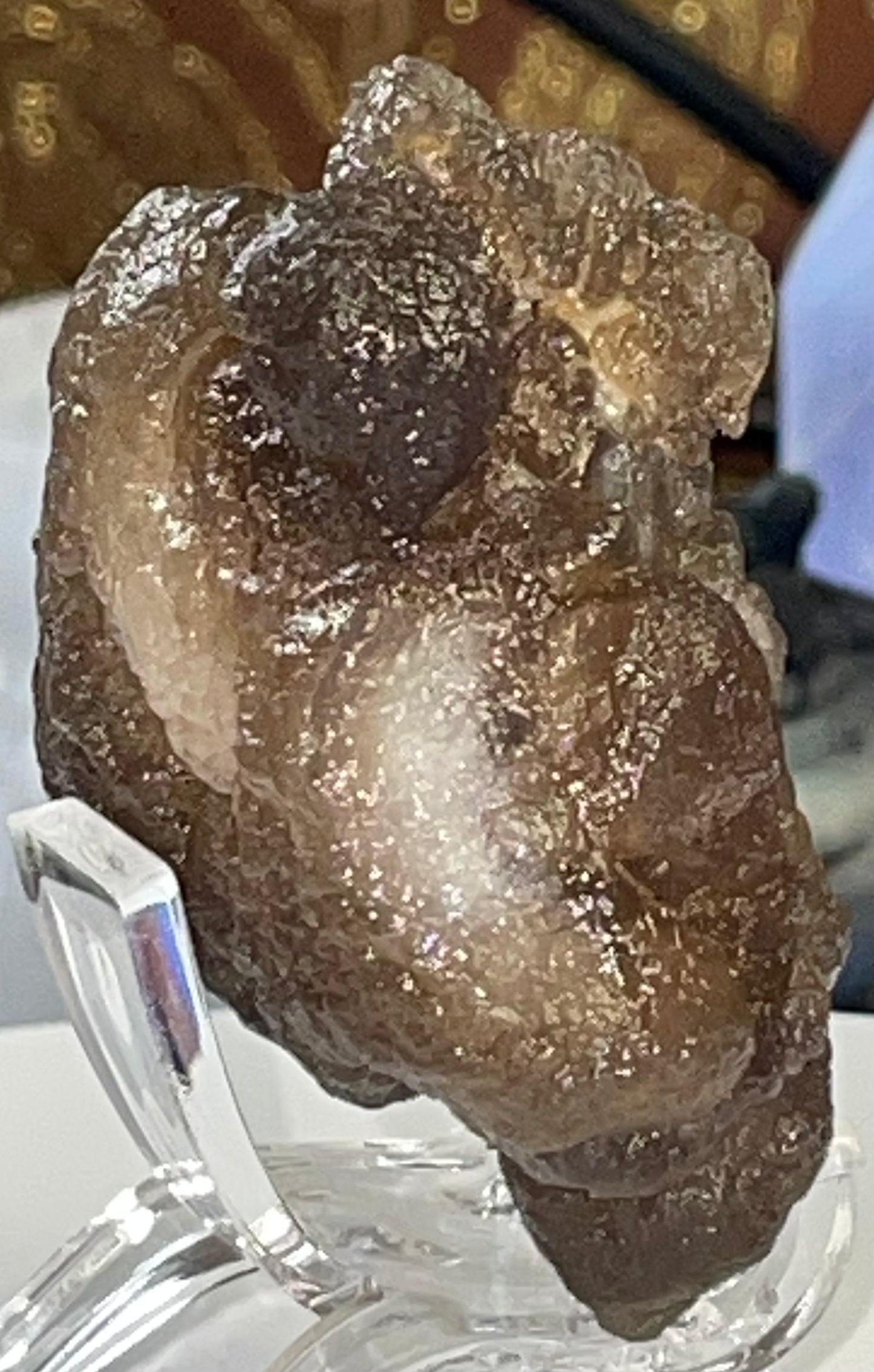Moroccan Truffle Chalcedony "Witch's Wart" Unique Crystal ~2~