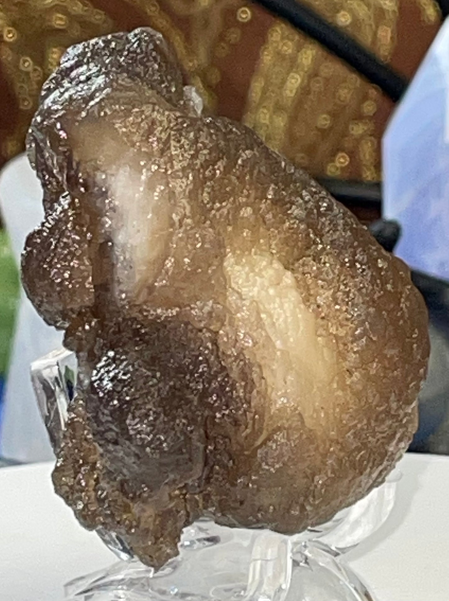 Moroccan Truffle Chalcedony "Witch's Wart" Unique Crystal ~2~