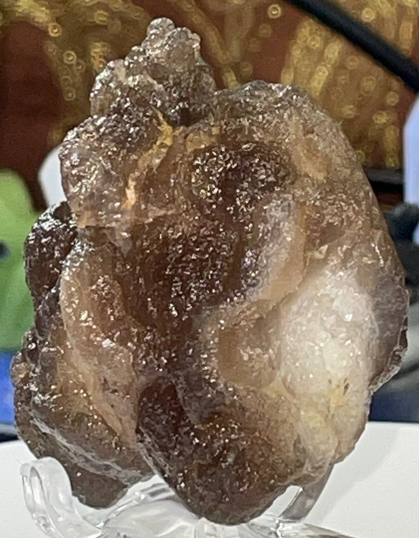 Moroccan Truffle Chalcedony "Witch's Wart" Unique Crystal ~2~