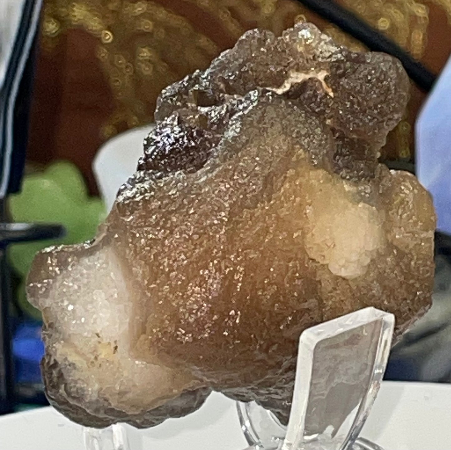 Moroccan Truffle Chalcedony "Witch's Wart" Unique Crystal ~2~