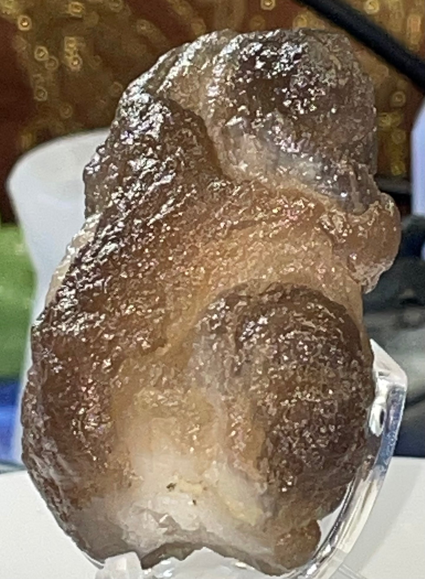 Moroccan Truffle Chalcedony "Witch's Wart" Unique Crystal ~2~