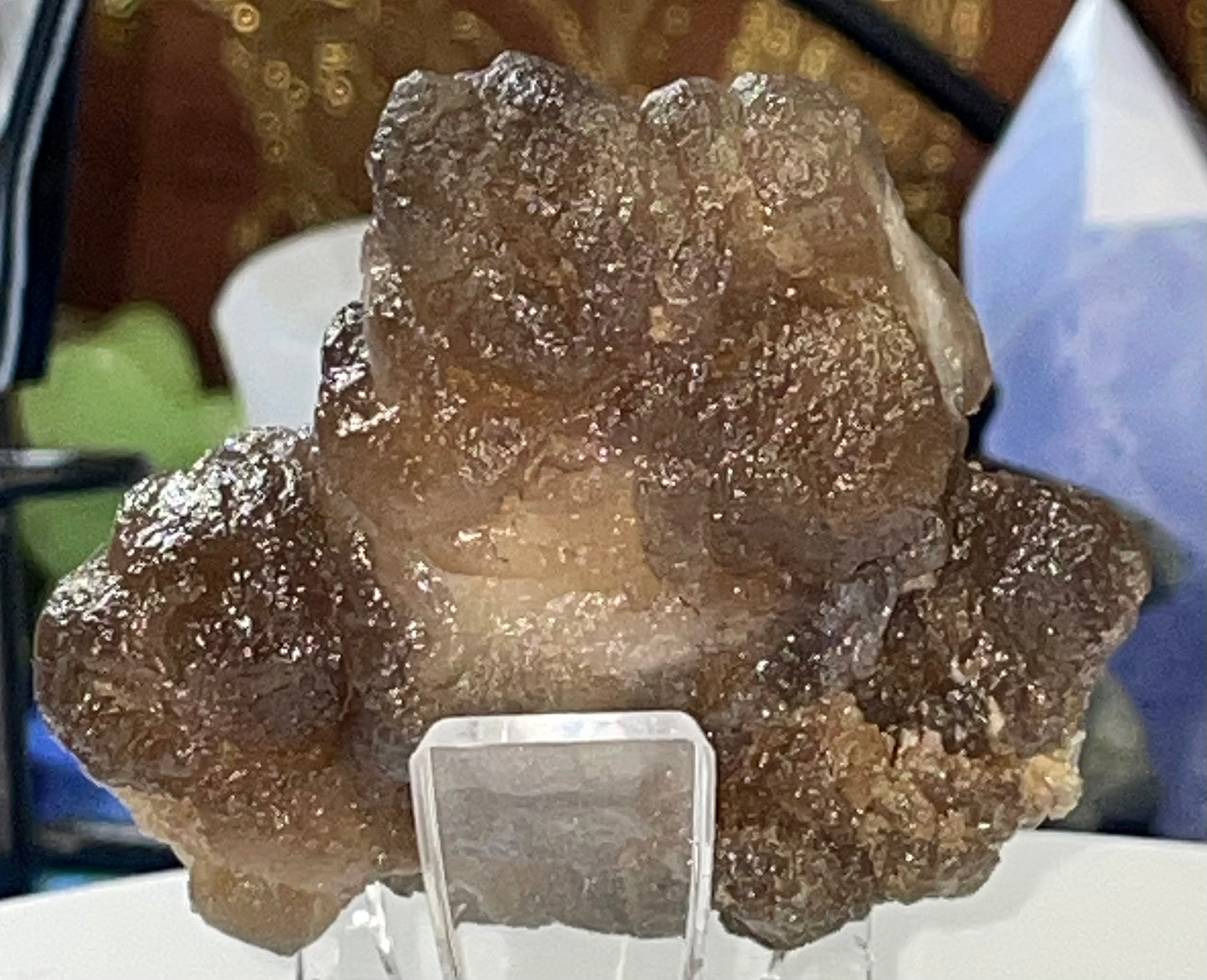 Moroccan Truffle Chalcedony "Witch's Wart" Unique Crystal ~2~