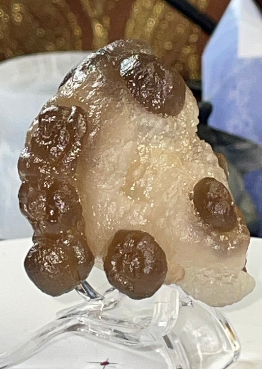 Moroccan Truffle Chalcedony "Witch's Wart" Unique Crystal ~1~